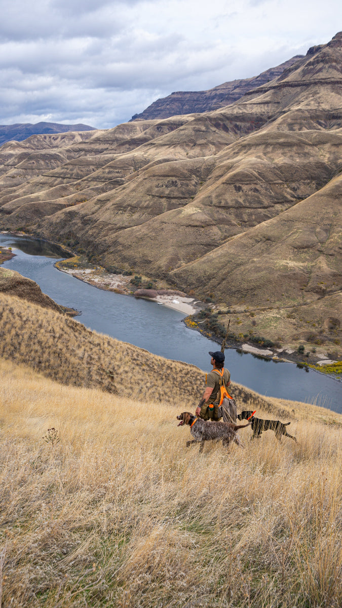 Chukar Hunting in Idaho’s Hells Canyon & Salmon River – A True Test fo