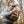 Load image into Gallery viewer, Simms Headwaters Chest Pack
