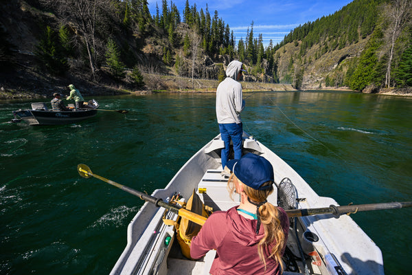 1-Day St. Joe River Guided Fly Fishing Trip