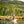 Load image into Gallery viewer, 1-Day St. Joe River Guided Fly Fishing Trip
