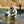 Load image into Gallery viewer, 1-Day St. Joe River Guided Fly Fishing Trip

