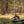 Load image into Gallery viewer, 1-Day St. Joe River Guided Fly Fishing Trip
