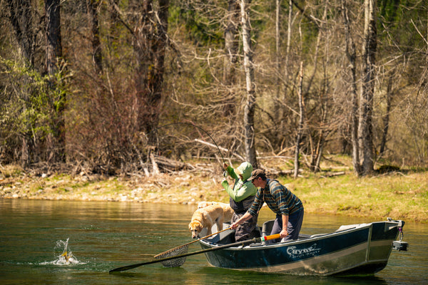 1-Day St. Joe River Guided Fly Fishing Trip