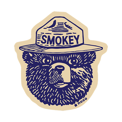 Navy Smokey Bear Logo