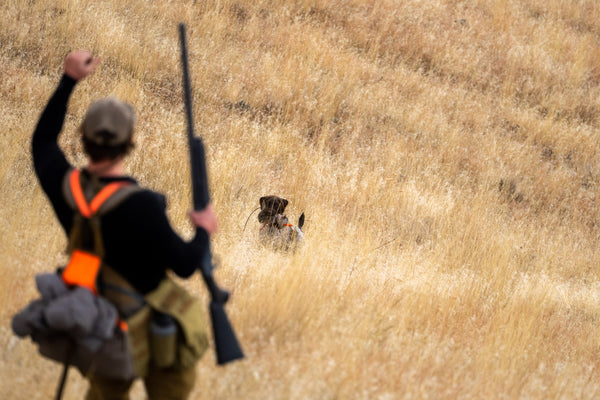 3-Day Upland Game Bird Hunting Trip in Hells Canyon and the Salmon River Breaks