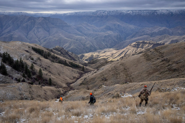 3-Day Upland Game Bird Hunting Trip in Hells Canyon and the Salmon River Breaks