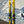 Load image into Gallery viewer, Voile MTN Surf Telemark Skis - Yellow, 175 cm
