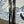 Load image into Gallery viewer, Voile MTN Surf Telemark Skis - Yellow, 175 cm
