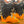 Load image into Gallery viewer, Scarpa Freedom RS Alpine Touring Ski Boots - Orange, MP 27
