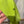 Load image into Gallery viewer, Patagonia Belted Recon Recco Ski Snow Pants - Green, Mens Large
