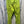 Load image into Gallery viewer, Patagonia Belted Recon Recco Ski Snow Pants - Green, Mens Large
