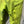 Load image into Gallery viewer, Patagonia Belted Recon Recco Ski Snow Pants - Green, Mens Large

