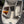 Load image into Gallery viewer, Lowepro ProTactic BP 450 AW II Modular Camera Pack
