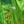 Load image into Gallery viewer, The North Face Summit Series Packable Windbreaker - Green, Mens X Large
