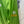 Load image into Gallery viewer, The North Face Summit Series Packable Windbreaker - Green, Mens X Large
