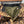 Load image into Gallery viewer, Cabelas GoreTex Thinsulate Advantage Wetlands Duck Hunting Pants - Mens 34
