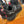 Load image into Gallery viewer, Merrell Gore-Tex Siren 4 Trail Running Shoes - Womens 9.5
