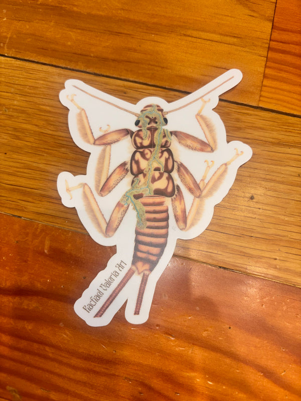 Rachael Valeria Art Stickers