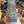Load image into Gallery viewer, Alpinestar Motocross Boots - M 5 / Eur 38
