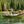 Load image into Gallery viewer, 1-Day St. Joe River Guided Fly Fishing Trip
