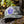 Load image into Gallery viewer, Navy Smokey Bear Logo
