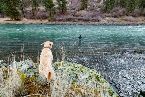 Excited on the Salmon River while Spey Fishing.
