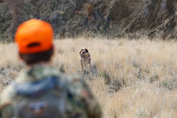 2-Day Upland Game Bird Hunting Trip in Hells Canyon and the Salmon River Breaks