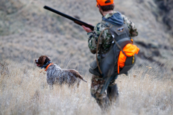 4-Day Upland Game Bird Hunting Trip in Hells Canyon and the Salmon River Breaks (Group)