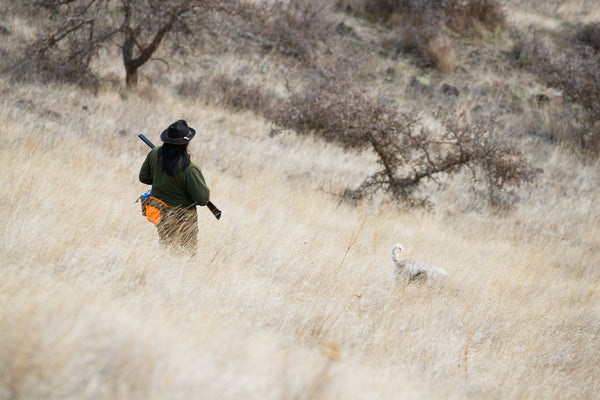 5-Day Upland Game Bird Hunting Trip in Hells Canyon and the Salmon River Breaks