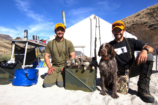 3-Day Upland Game Bird Hunting Trip in Hells Canyon and the Salmon River Breaks (Group)