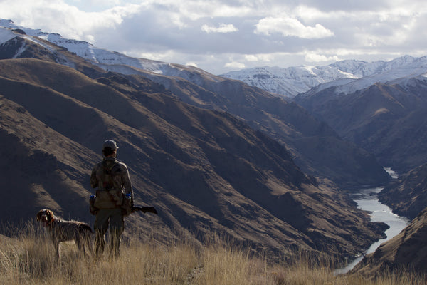 5-Day Upland Game Bird Hunting Trip in Hells Canyon and the Salmon River Breaks