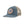 Load image into Gallery viewer, Patagonia Take a Stand Trucker Hat - Plume Grey, Wild Grizz
