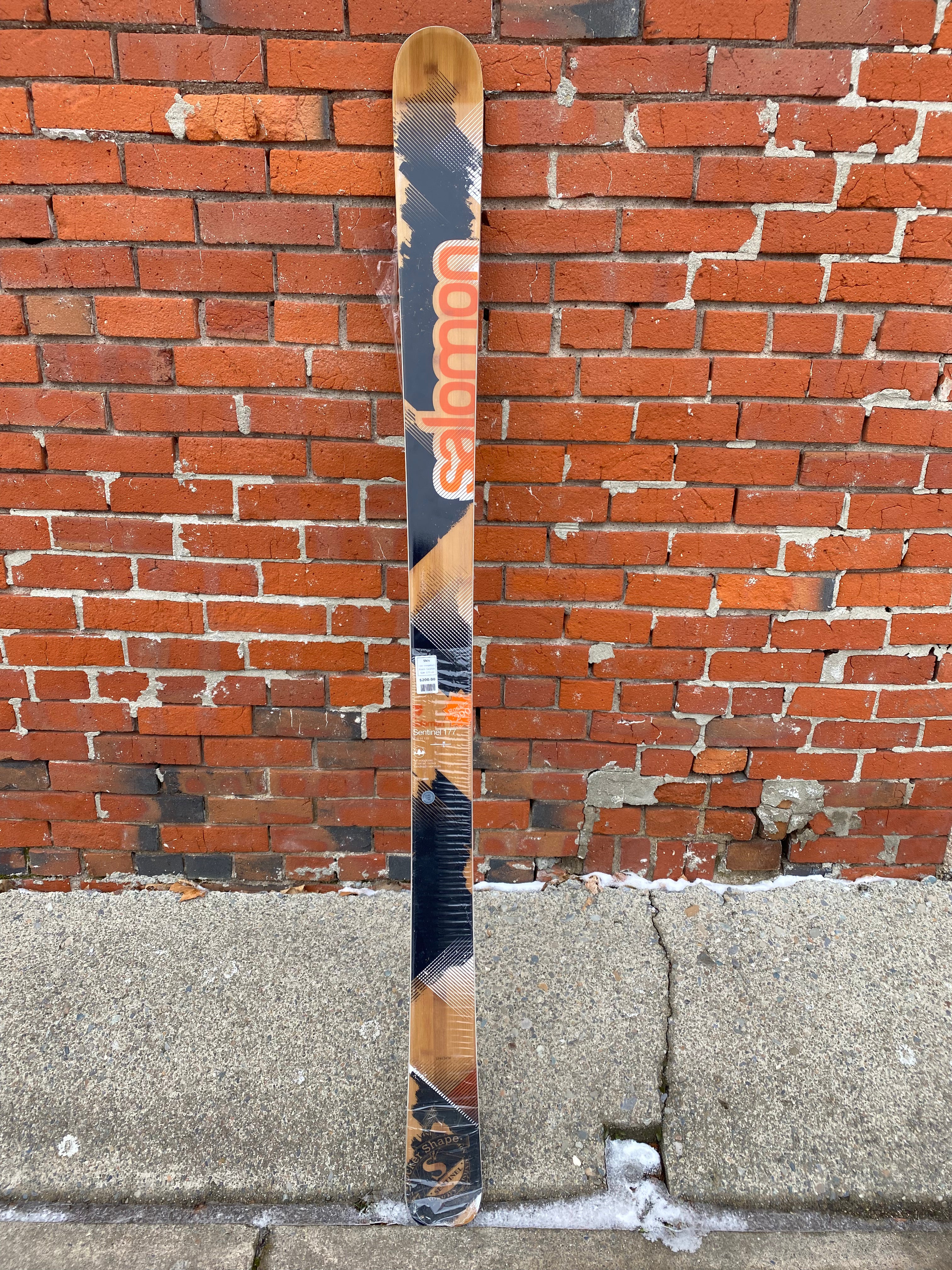 Salomon online sentinel skis