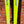 Load image into Gallery viewer, Rossignol Ten Four Cut Alpine Skis with Look 99 Bindings- Black, 175 cm
